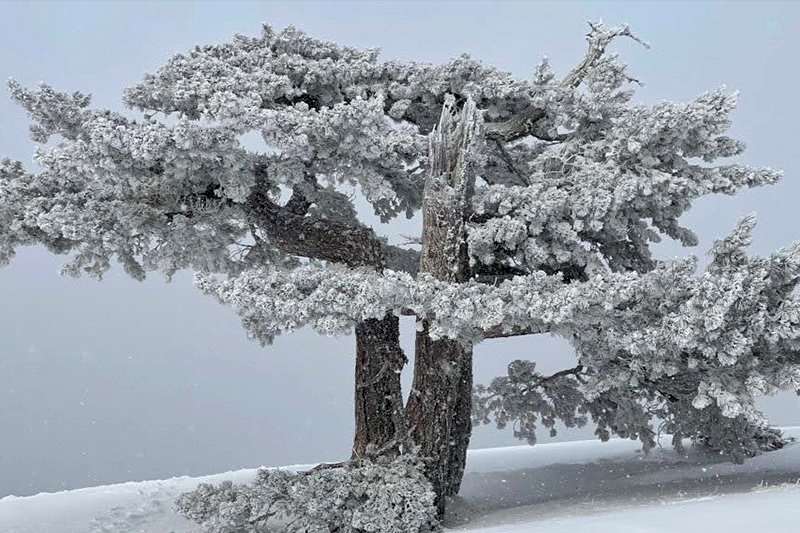 ÇANAKKALE ŞEHİTLERİNİ ANMA TIRMANIŞI