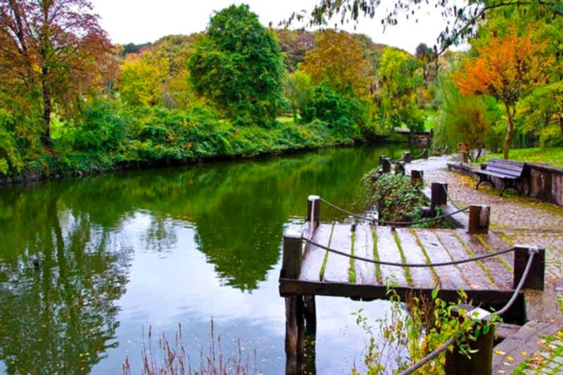 ATATÜRK ARBORETUMU YÜRÜYÜŞÜ