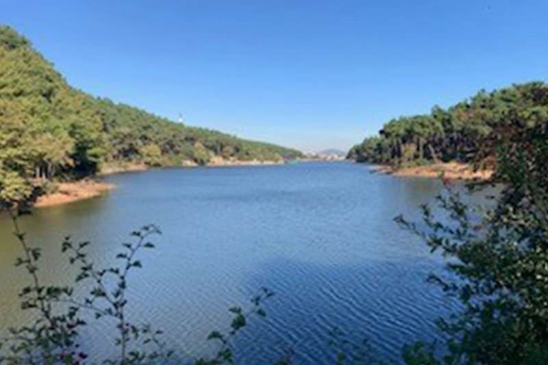 Aydos Ormanı Doğa Yürüyüşü