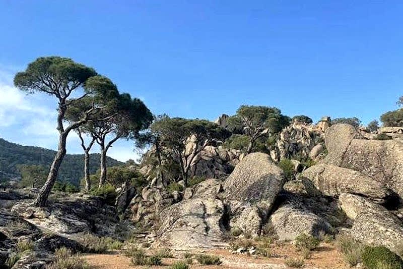 ŞİRİNCE-BAFA GÖLÜ-KAPIKIRI-LATMOS ZİRVE