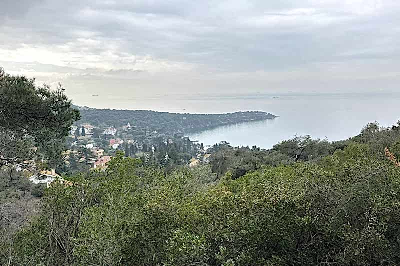 BÜYÜKADA SPORTİF DOĞA YÜRÜYÜŞÜ