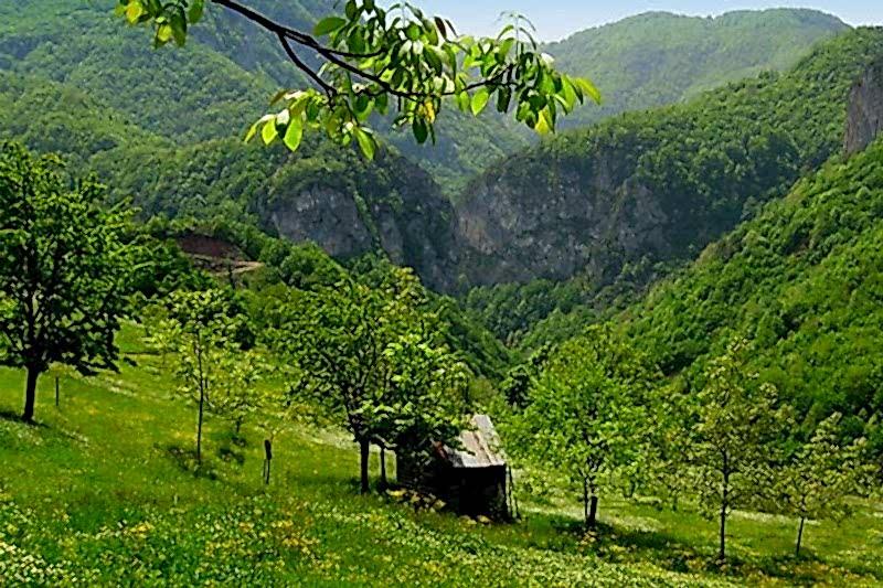 AYTEPE-MENEKŞE YAYLASI DOĞA YÜRÜYÜŞÜ